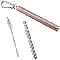 Stainless Steel Portable Metal Foldable Straw Telescopic Brush Metal Collapsible Reusable Straw
Stainless Steel Portable Metal Foldable Straw Telescopic Brush Metal Collapsible Reusable Straw