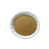 /product-detail/factory-supply-high-quality-ganoderma-lucidum-extract-ganoderma-lucidum-polysaccharide10-50--60677417153.html