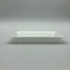 dishes set tableware Safety Food Grade Disposable 100%Biodegradable PLA Foam Tray for meat