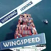 Ship Tnt Express Shipping Company From Shenzhen To Germany Uk -skype:bonmedellen