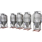 grain fermenting used beer brewing fermentation tank with CIP cleaning system