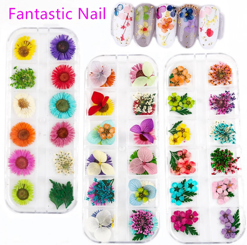 12 Colors 3D Nail Art Decoration Real Dry Dried Flower For UV Gel Acrylic Nail Art Flowers
12 Colors 3D Nail Art Decoration Real Dry Dried Flower For UV Gel Acrylic Nail Art Flowers