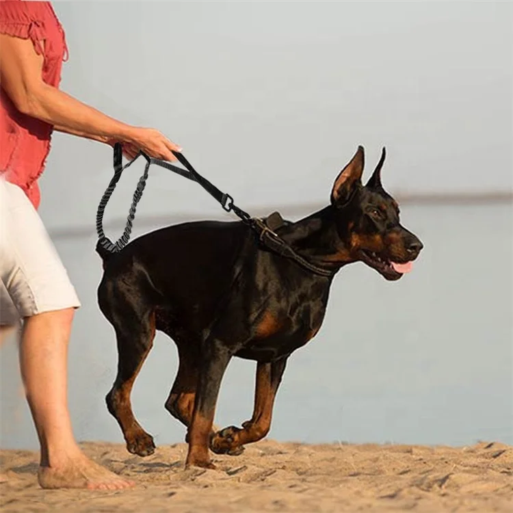 Military Tactical Collar Pet tactical leash Outdoor tactical pet supplies Quickly remove the dog leashes, Picture show or customized color
Military Tactical Collar Pet tactical leash Outdoor tactical pet supplies Quickly remove the dog leashes, Picture show or customized color