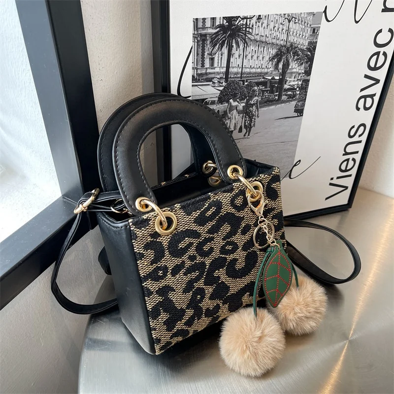 2021 Popular Leopard Printing PU Hand Bags Crossbody Shoulder Top Handle Purse Small Jelly Handbag for Woman
2021 Popular Leopard Printing PU Hand Bags Crossbody Shoulder Top Handle Purse Small Jelly Handbag for Woman