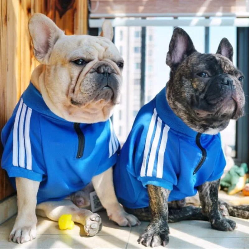 Fashion Sport Dog Hoodie Jacket Coat Clothes Pet Sport Suit Jacket Outwear for Small Medium Dog, As picture
Fashion Sport Dog Hoodie Jacket Coat Clothes Pet Sport Suit Jacket Outwear for Small Medium Dog, As picture