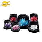 Crystal Growing Kit Crystal Growing Experimental Kit