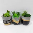 Flower Plant Pots Pot Cement Garden Black And Golden Color Garden Flower Cement Plant Pots Outdoor Cement Flower Pot