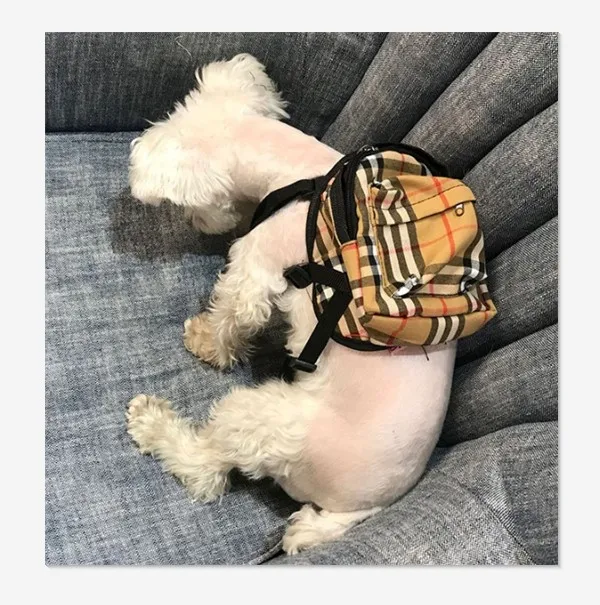 Luxury brand pet accessories plaid pet decoration backpack bag dog snack pack, Customized color
Luxury brand pet accessories plaid pet decoration backpack bag dog snack pack, Customized color