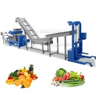 Multi-functional coconut juicer coconut milk juice machine/juicer hydraulic press/vegetable leaf juicer