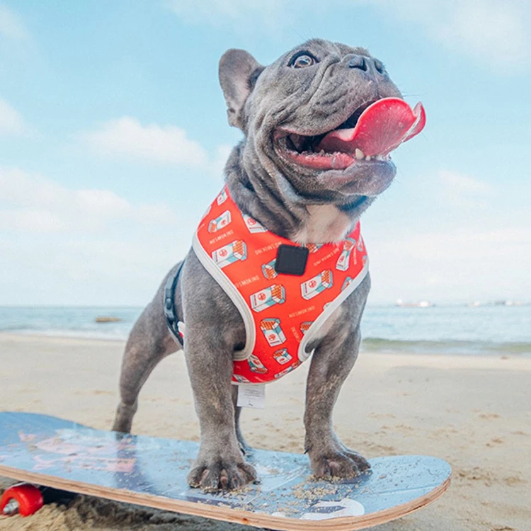 Wholesale High Quality Durable Explosion-proof Big Dog Harness Vest Type Reflective Large Dog Chest Strap, Customized color
Wholesale High Quality Durable Explosion-proof Big Dog Harness Vest Type Reflective Large Dog Chest Strap, Customized color