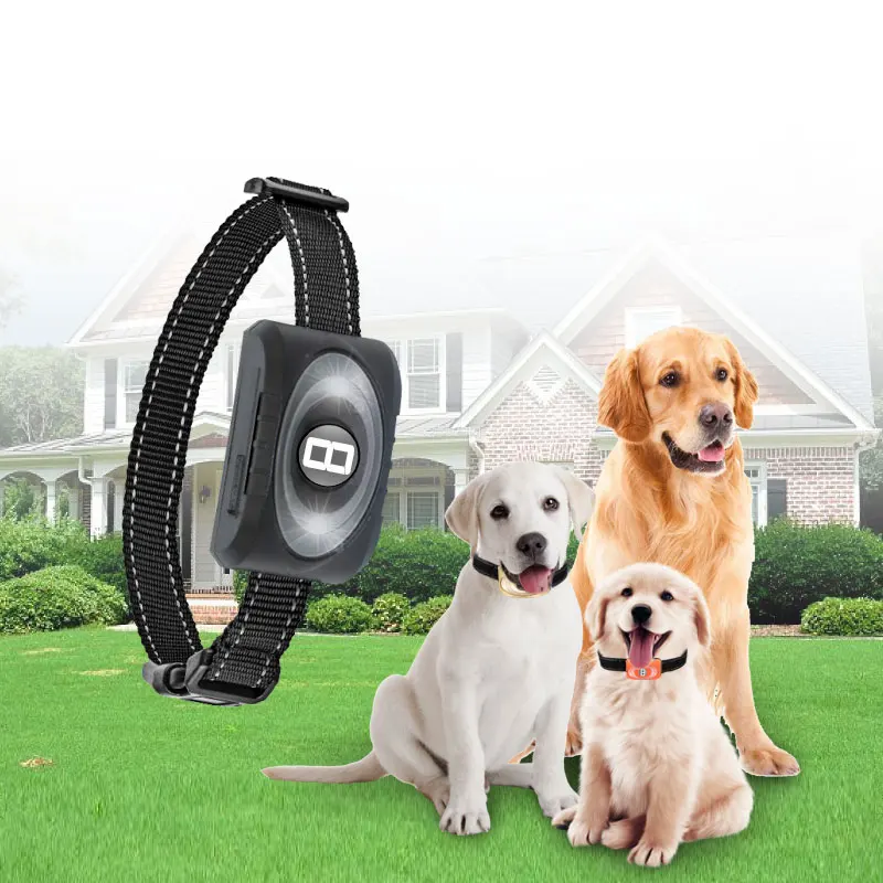 Hot Amazon Ebay Sale Dog Trainer Battery Powered Magnetic Dog Collar, Black, orange, gold
Hot Amazon Ebay Sale Dog Trainer Battery Powered Magnetic Dog Collar, Black, orange, gold