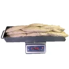 Ningbo Manufacturer Frozen Sarda Tuna Fish