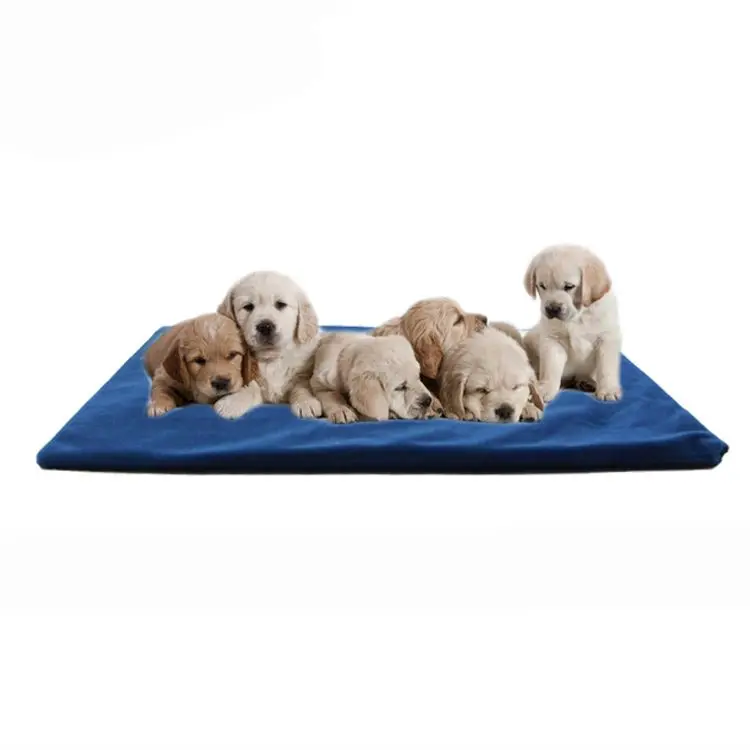 China supply rectangular LED indication animals Pet heat mat, Green / red / blue / brown
China supply rectangular LED indication animals Pet heat mat, Green / red / blue / brown