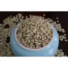 Nuts In Shell High Quality Chinese Pine Nuts Vacuum Bag Packaging Pine Kernels White Pine Nuts In Shell