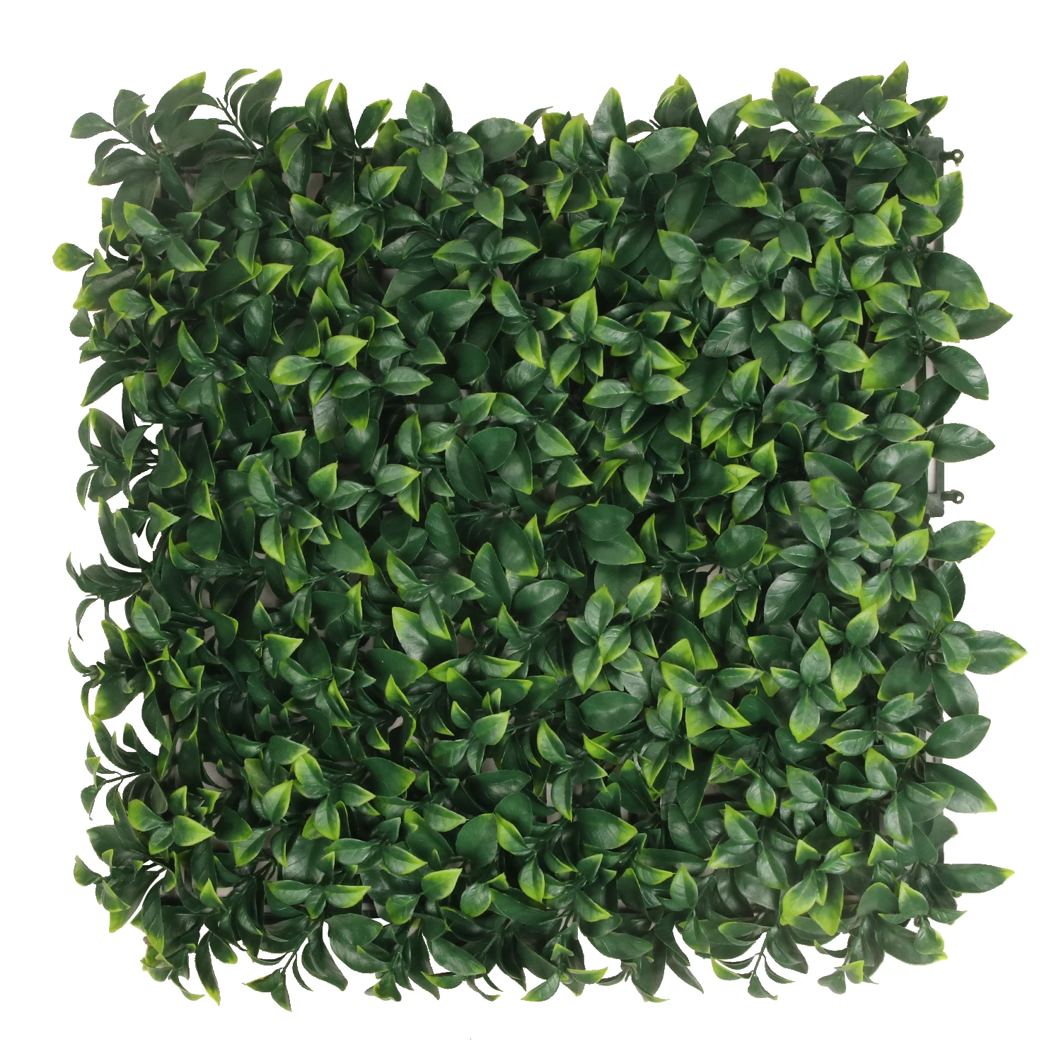 Factory Price Plastic Artifical Panel Hedges Artificial Boxwood Roll Wall Grass Decoration, Green color
Factory Price Plastic Artifical Panel Hedges Artificial Boxwood Roll Wall Grass Decoration, Green color