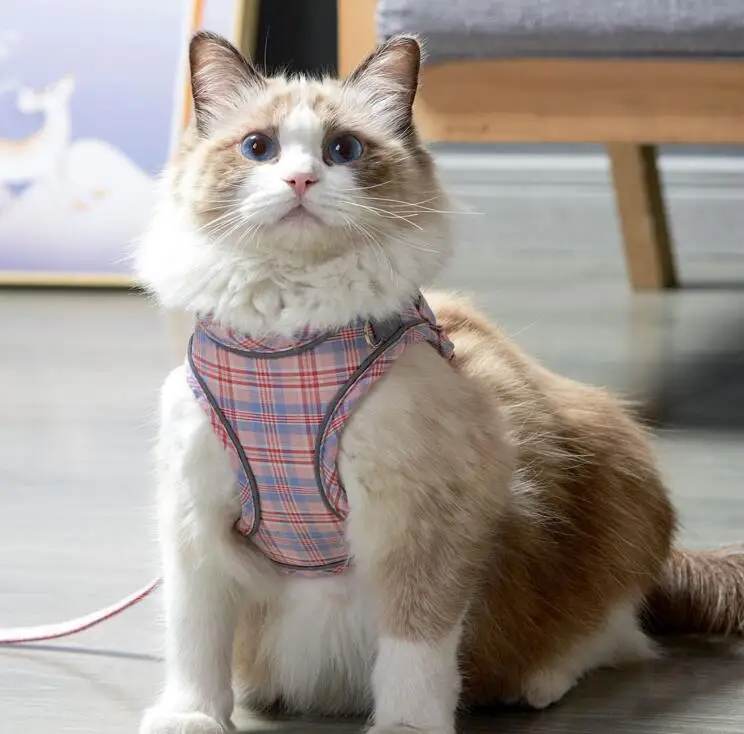 High Quality Adjustable Nylon Training Custom Cotton Printed Soft Reflective Pet Harness for Dog Cat
High Quality Adjustable Nylon Training Custom Cotton Printed Soft Reflective Pet Harness for Dog Cat