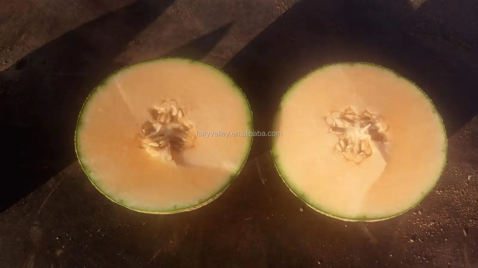 hybrid f1 orange flesh sweet round musk cantaloupe melon seeds