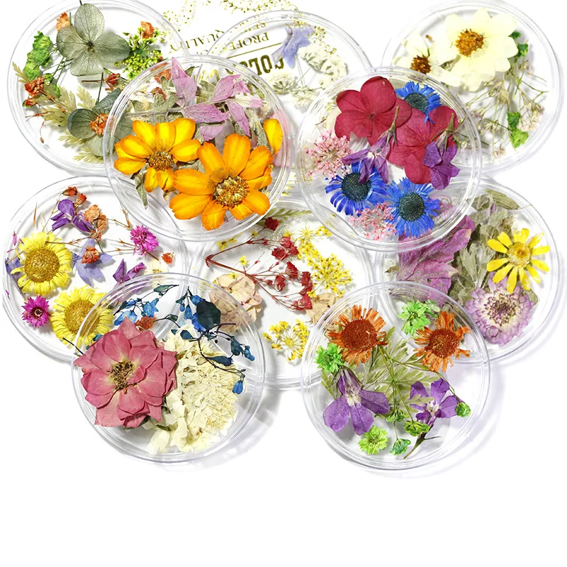 Natural flowers DIY Flowers Nail Art Decorations Natural Floral Leaf Plants Sticker Decals DIY Manicure Accessories
Natural flowers DIY Flowers Nail Art Decorations Natural Floral Leaf Plants Sticker Decals DIY Manicure Accessories