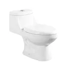 Customized Logo South American Porcelain One Piece Kid Toilet / Closestool
