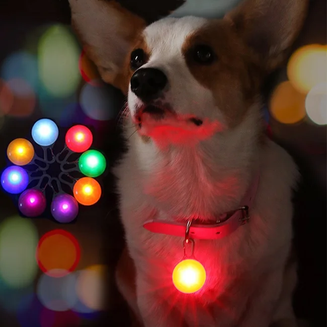 pet tracking collar tag night safety hanging pendant led glow dog collar pendants for pet
pet tracking collar tag night safety hanging pendant led glow dog collar pendants for pet
