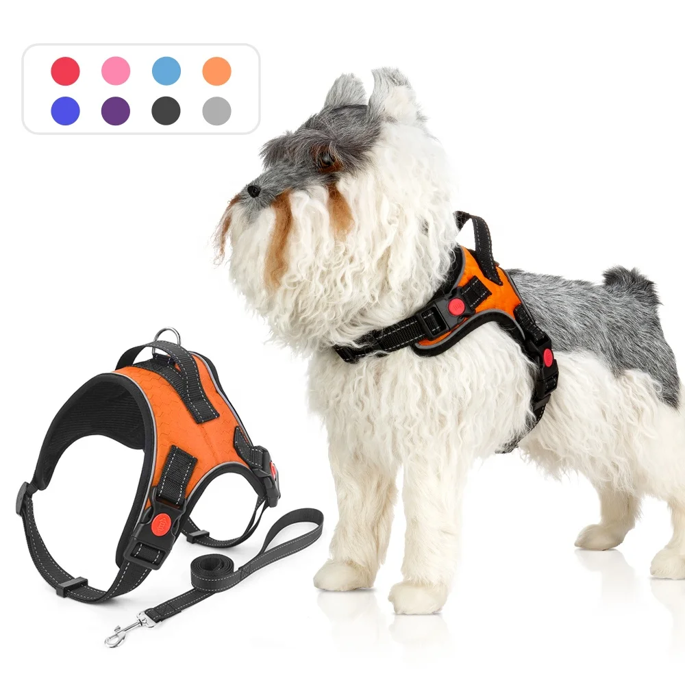 Comfortable Custom Design 2 In 1 Dog Buckle Closure Harness Vest Wholesale Pet Chest Back And Leashes, Multi
Comfortable Custom Design 2 In 1 Dog Buckle Closure Harness Vest Wholesale Pet Chest Back And Leashes, Multi