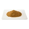 /product-detail/ginger-extract-ginger-root-extract-ginger-extract-powder-for-health-care-62350838564.html
