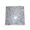 Factory outlet chinese cheap natural stone star grey granite