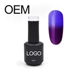 Nail Polish Nail Gel Soak DZ Nail OEM Soak Off Color Change Nail Gel Polish Temperature Change Gel
