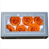 New Produced Preserved Rose 5-6cm Real Eternal Roses Use Inside Round And Square Box For 2019 Christmas