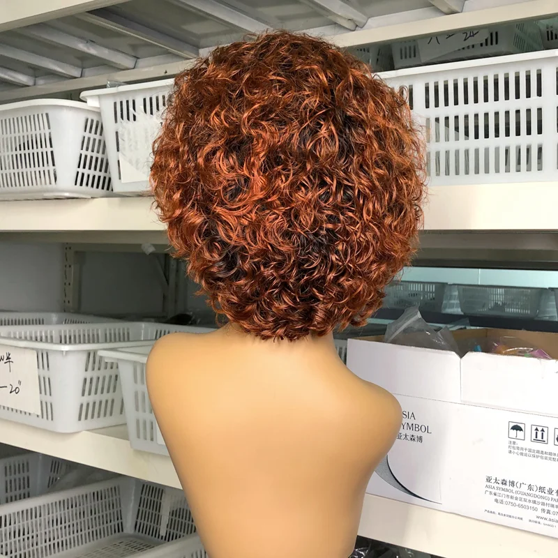 1B/27 Ombre Color Short Curly 13*4 Lace Front Human Hair Wigs Baby Hair Pre Plucked Remy Brazilian Lace Bob Wigs
1B/27 Ombre Color Short Curly 13*4 Lace Front Human Hair Wigs Baby Hair Pre Plucked Remy Brazilian Lace Bob Wigs