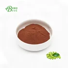Hot sale green coffee bean powder extract/green coffee bean extract 10:1