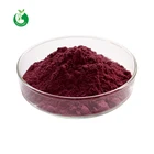 Powder Powder Aronia Powder Bulk Pharmaceutical Grade Aronia Berry Extract Powder