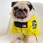 Dog Clothes Winter Winter New Design Dog Accessories Clothes Flower Winter Jacket Cool Luxury Pet Clothing