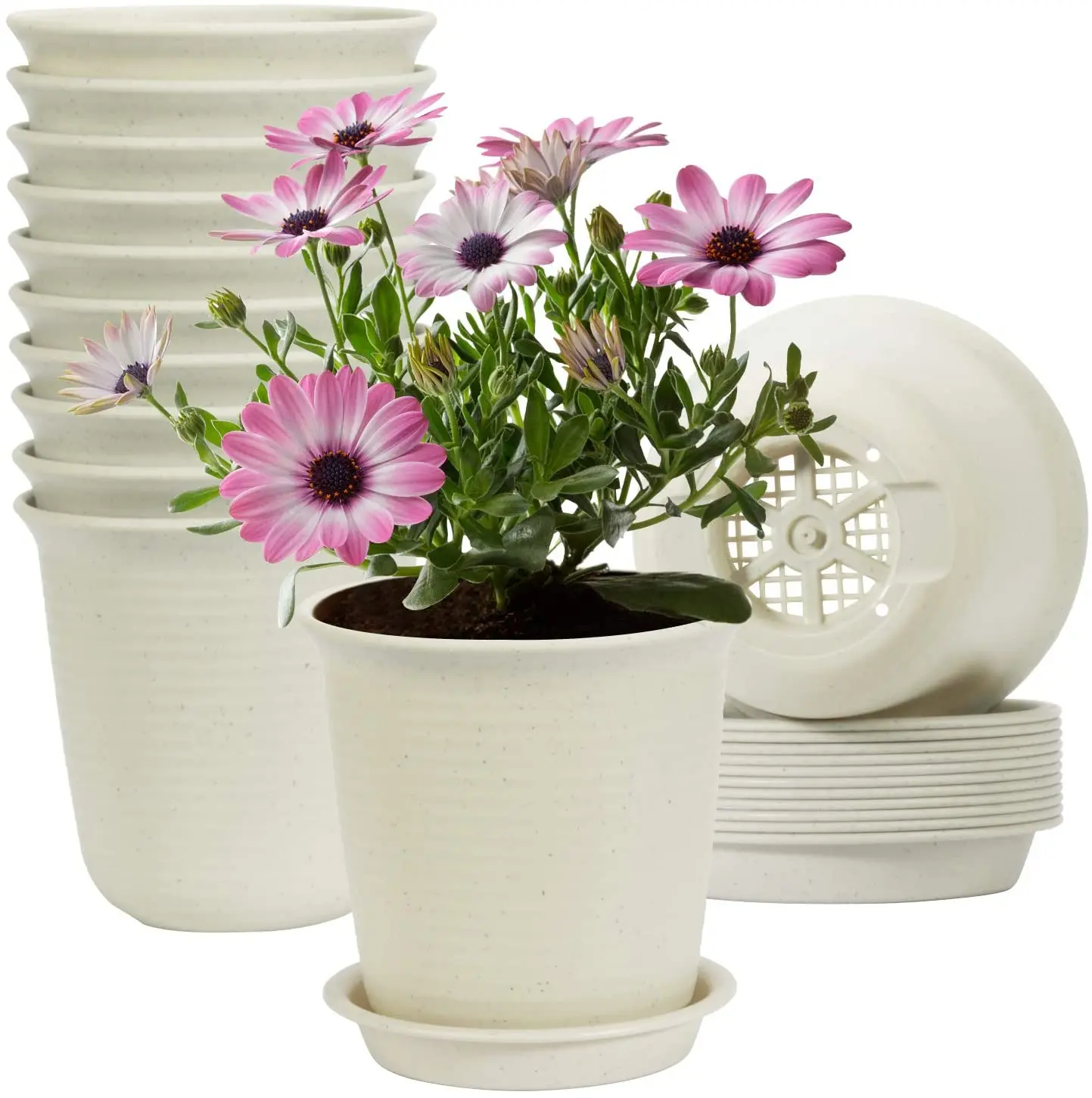 Plastic Flower Pots, 12PC Plant Pots Home Planters with Drainage Hole and Tray white, Multi
Plastic Flower Pots, 12PC Plant Pots Home Planters with Drainage Hole and Tray white, Multi