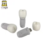 Dental Implant Tooth Shape USB Memory With PVC Case
