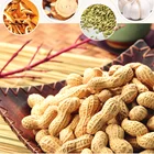 Nut In Shell Buy Nuts Premium Quality Roasted Salted Organic Peanuts Ground Nut In Shell 200 G/bag