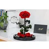 China Supplier Wholesale Valentine Gift Items Everlasting Forever Eternal Long Lasting Preserved Roses in Glass Dome Flask