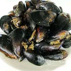 Mussel Quality Guarantee Seafood Frozen Mussels