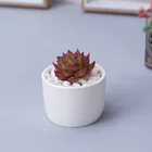 Pots HXX2001-4 Flower Pots For Succulents Planter Flower Pots And Planters Ceramic Flower Pots