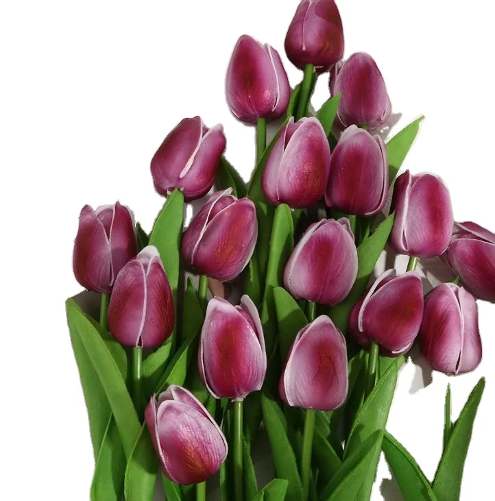 Flone Artificial Flowers real touch Floral Simulation Flower Branch Wedding Party Home Dining Room Decoration
Flone Artificial Flowers real touch Floral Simulation Flower Branch Wedding Party Home Dining Room Decoration
