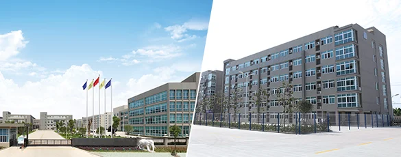 کفپوش ضد لغزش ضد سم Eva Yoga Mat 173x61 183x61 Cm 9