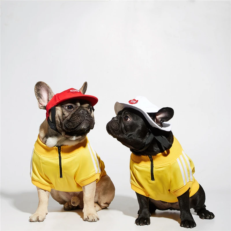 Spring and Autumn Pet Coat Stripe Designer Dog Clothes For Small Dog Clothing T Shirt Hoodies
Spring and Autumn Pet Coat Stripe Designer Dog Clothes For Small Dog Clothing T Shirt Hoodies