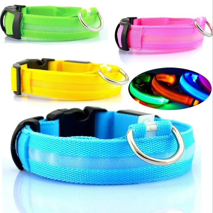 Pet accessories nylon webbing pet dog led collar usb rechargeable light night led dog collar
Pet accessories nylon webbing pet dog led collar usb rechargeable light night led dog collar
