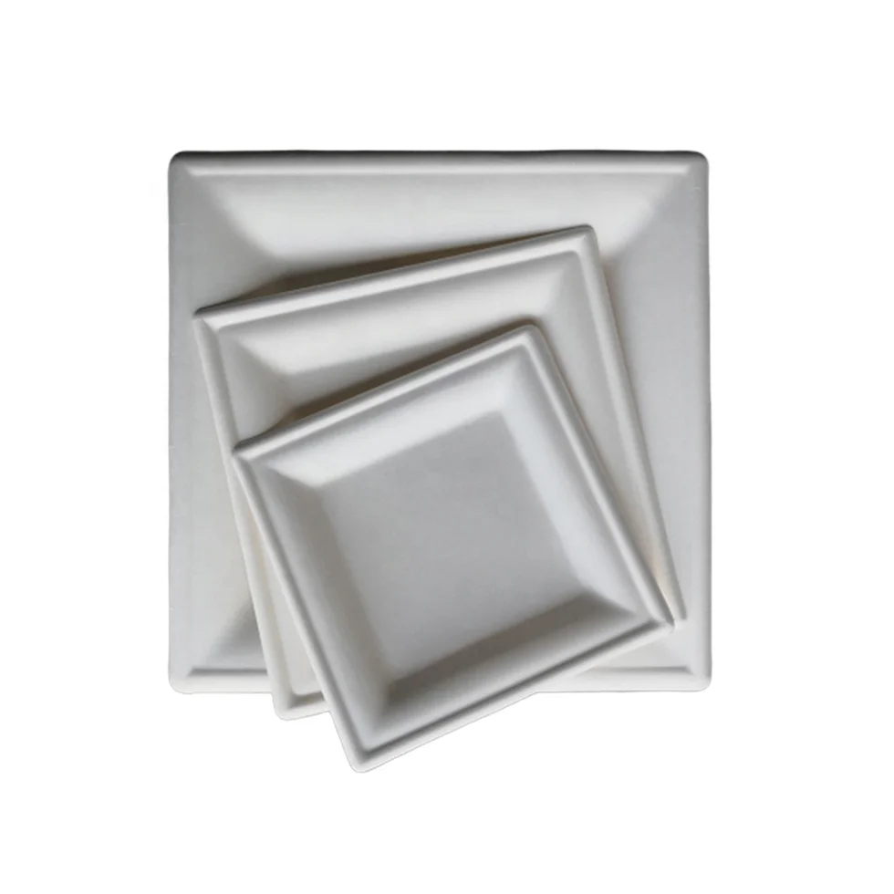 Disposable Paper Square Plates Biodegradable Square Dinner Plates White 8Inch Square Plate Bagasses Paper Pulp, White / light brown
Disposable Paper Square Plates Biodegradable Square Dinner Plates White 8Inch Square Plate Bagasses Paper Pulp, White / light brown