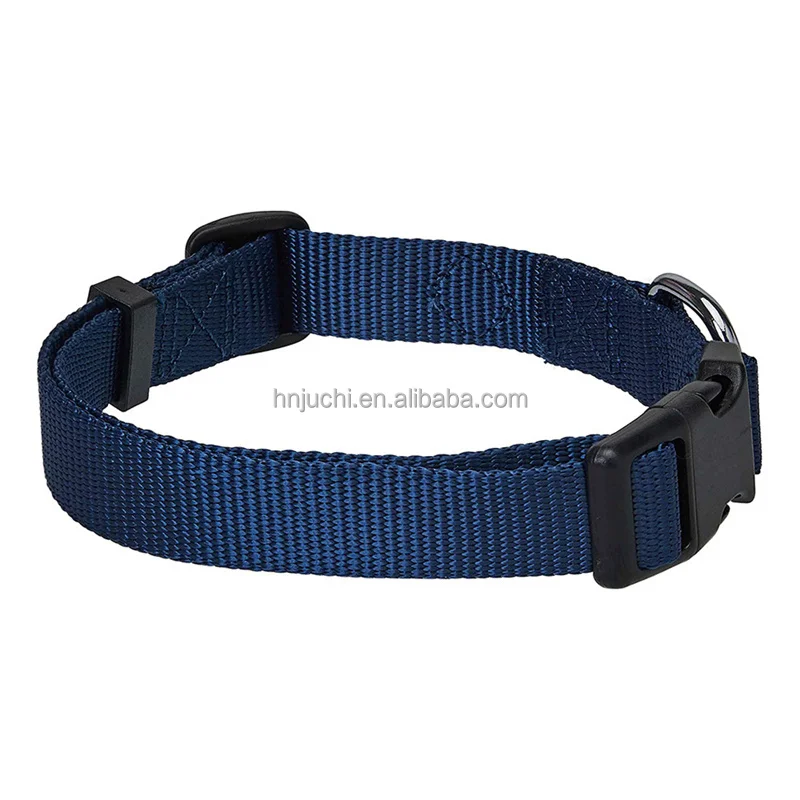 2021 factory direct sales support customized fashion harness for dogs glowing in dark dog leashes and collars gold dog collar
2021 factory direct sales support customized fashion harness for dogs glowing in dark dog leashes and collars gold dog collar