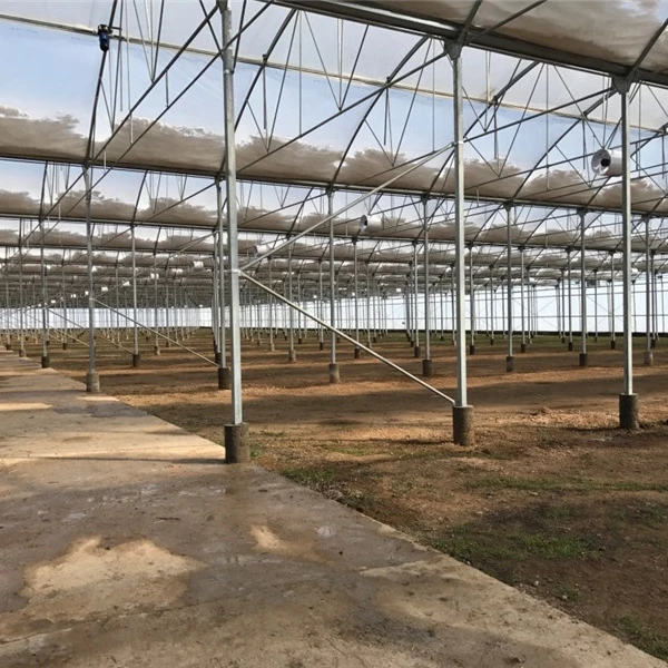 greenhouse types China greenhouse vegetable green house factory