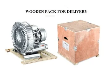 Ring Blower, 1-3hp, 110V, 60hz - detail 10
