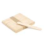Sticks Ice Cream Stick Popsicle Stick Wood Biodegradable Custom Logo Popsicle Sticks Ice Cream Stick