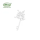 CASPOFUNGIN ACETATE CAS 179463-17-3 pharmaceutical