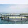 /product-detail/hdpe-bracket-square-deep-sea-fish-farming-net-floating-cages-62243126528.html